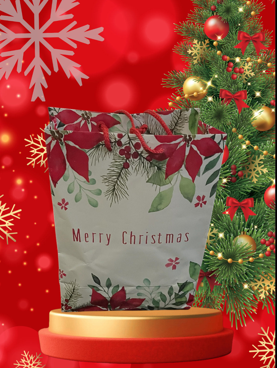 Christmas Gift Bag Special